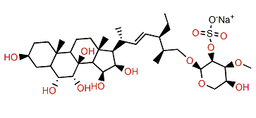 Oreasteroside J